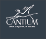 Cantium