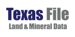 TexasFile web.png